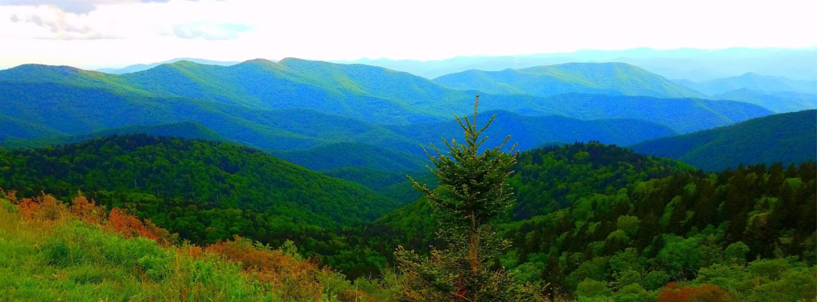 Untitled design (99)