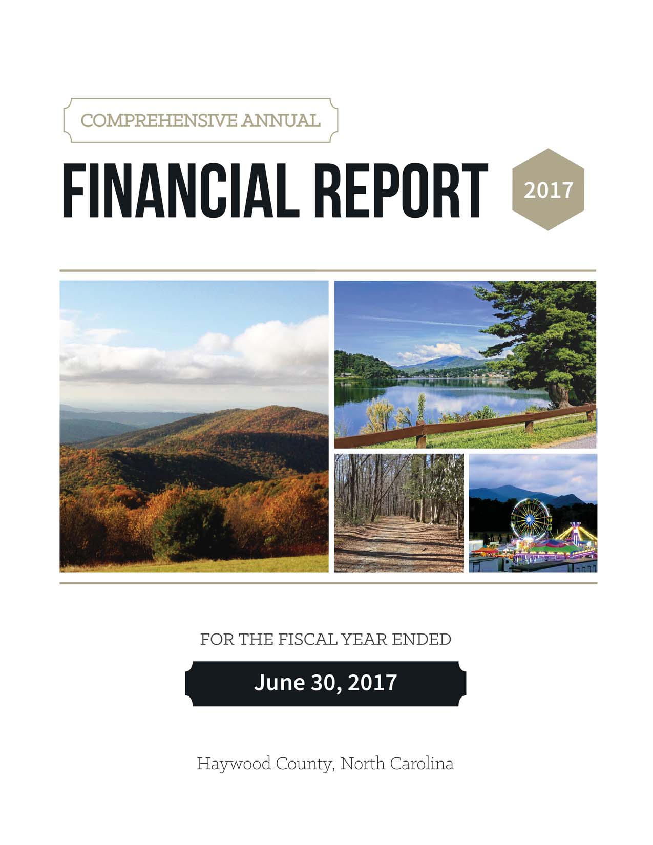 Comprehensive Annual Financial Report 2017 Cover Opens in new window